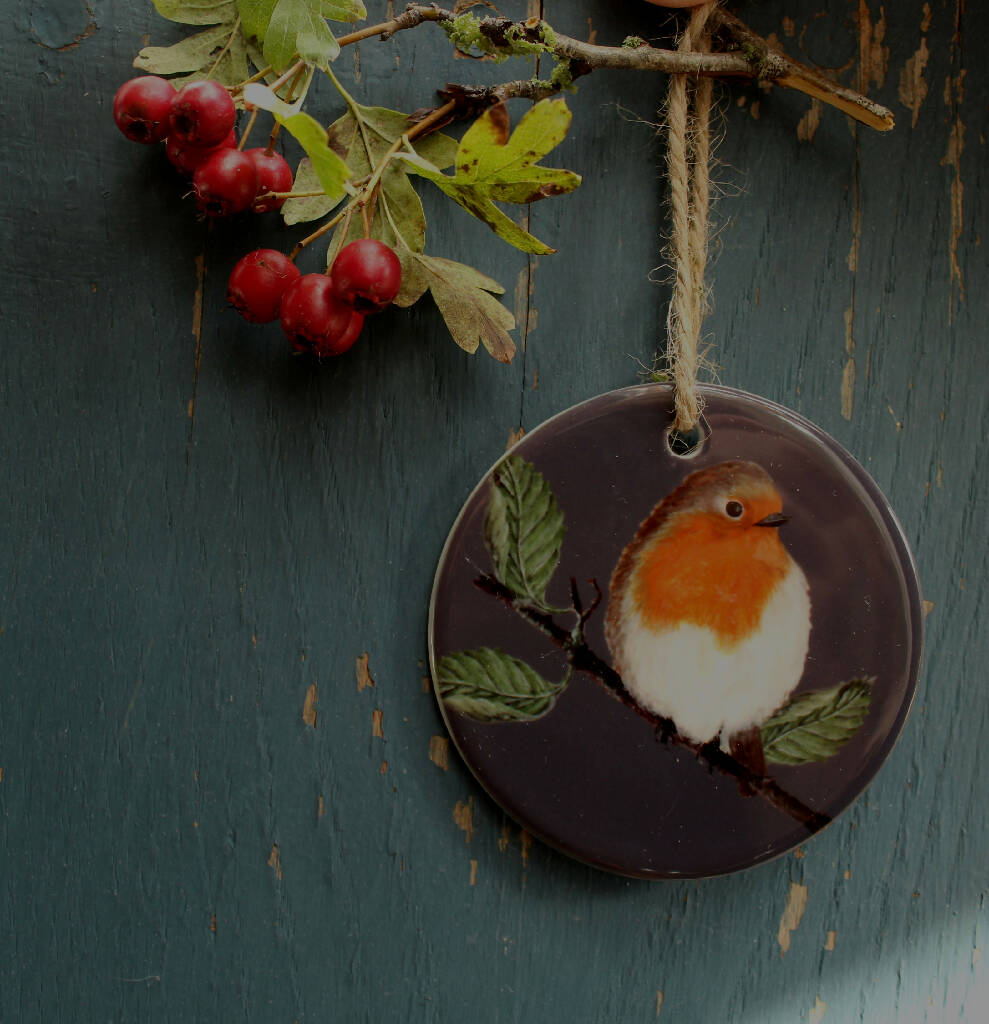 China Christmas Decoration in Robin