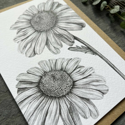 Daisy Blank Greetings Card