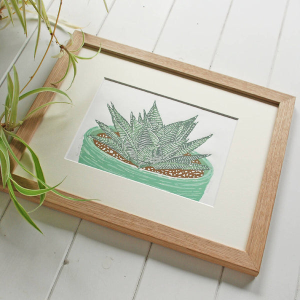 Haworthia Frame Master