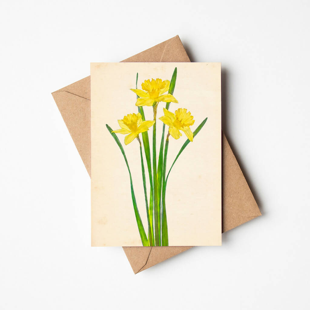 Delightful Daffodils Greetings Card