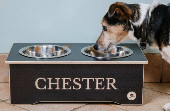Wooden Raised Dog Bowl Stand