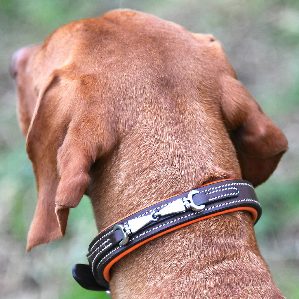 Woofgill Leather Collar – Turner & Bell
