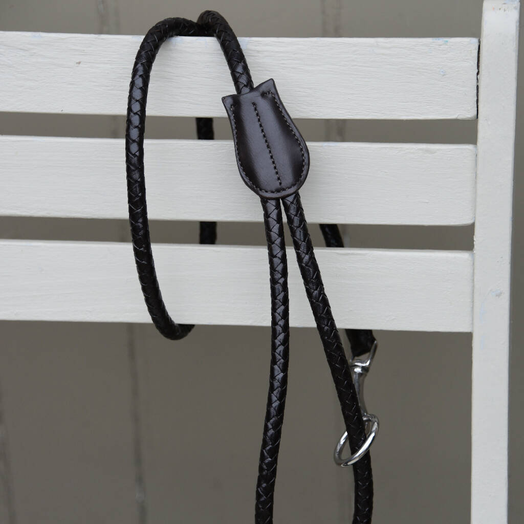 Monreith Plaited Leather Lead