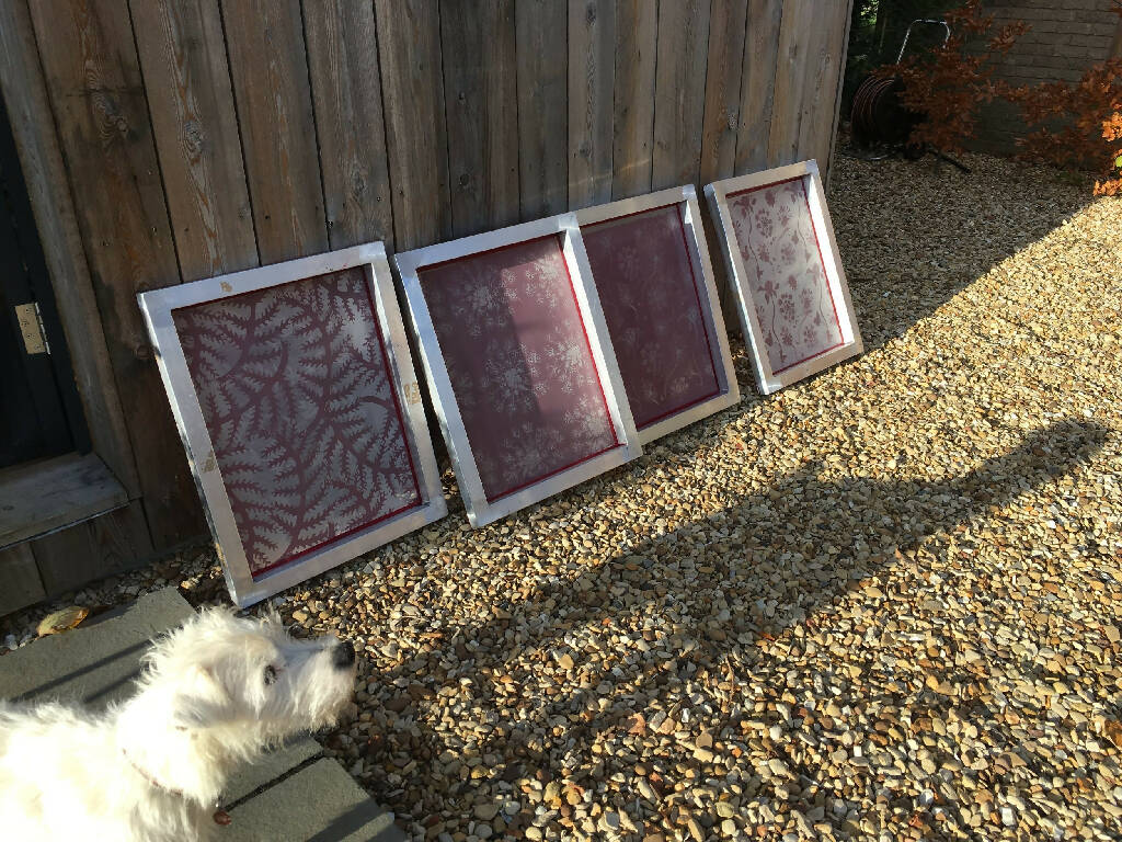 Introduction to Screen Printing with Natural Dyes