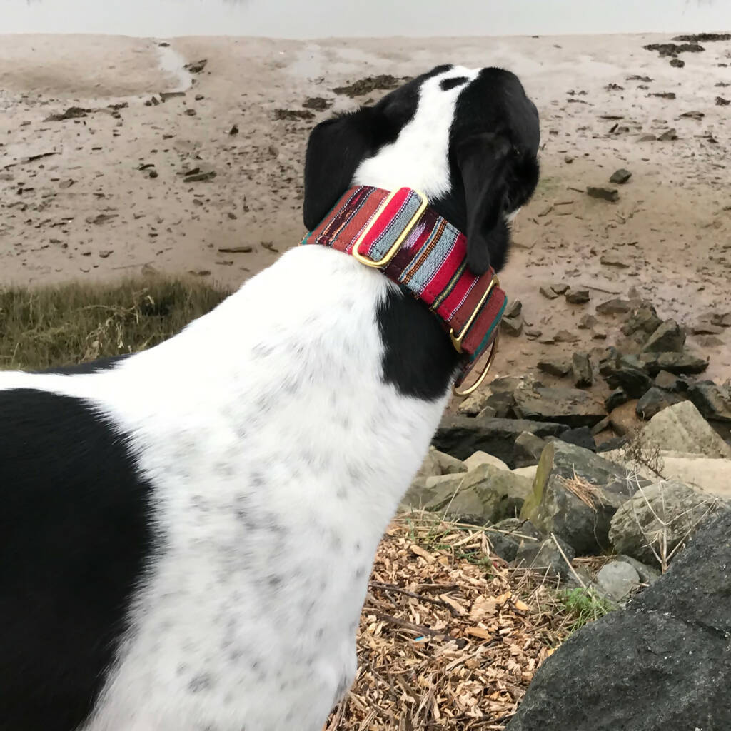 Bedouin Martingale Collar in Atlas Red