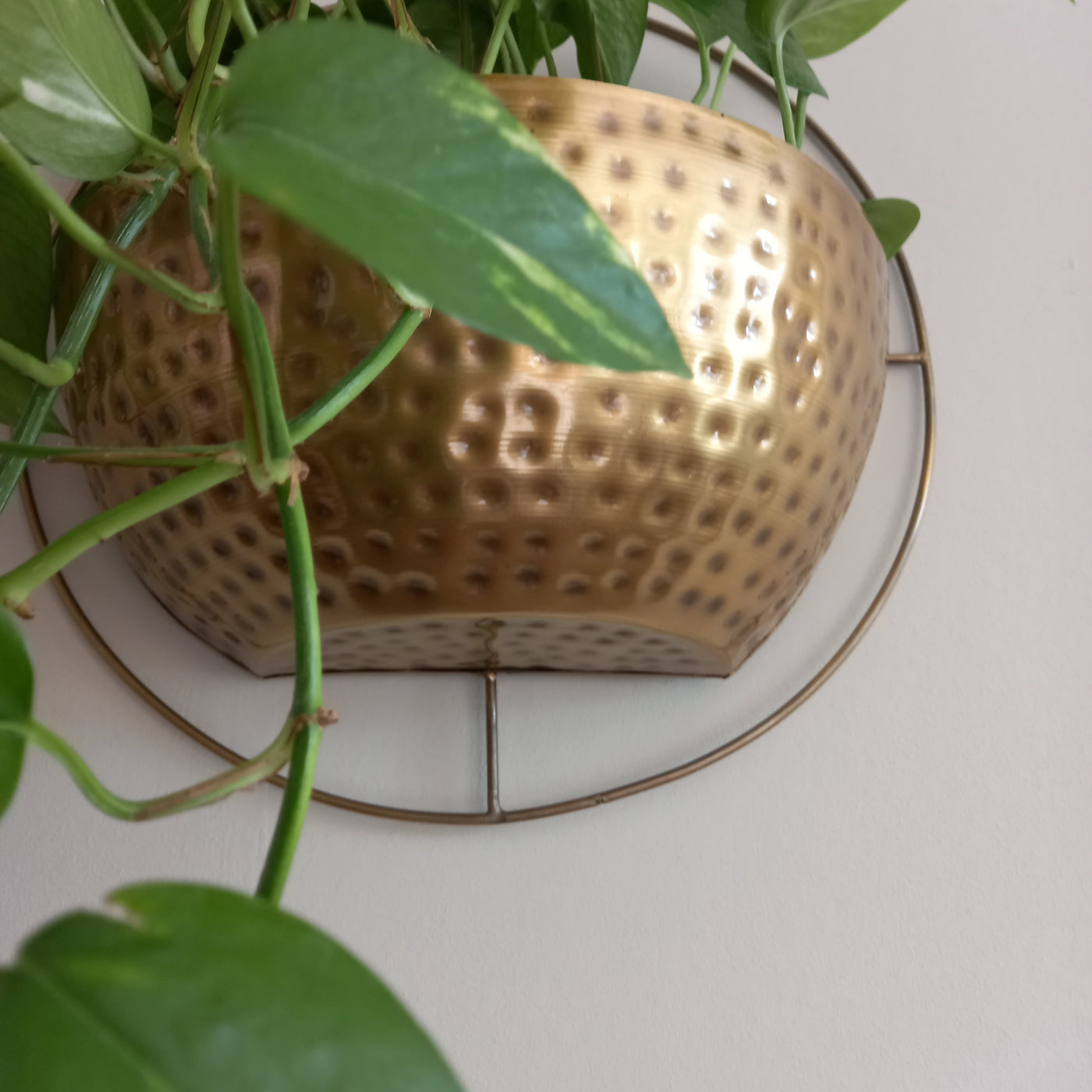 Gold Wall Planter