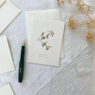 Sloe Berry Botanical Watercolour Illustrated Greetings Card