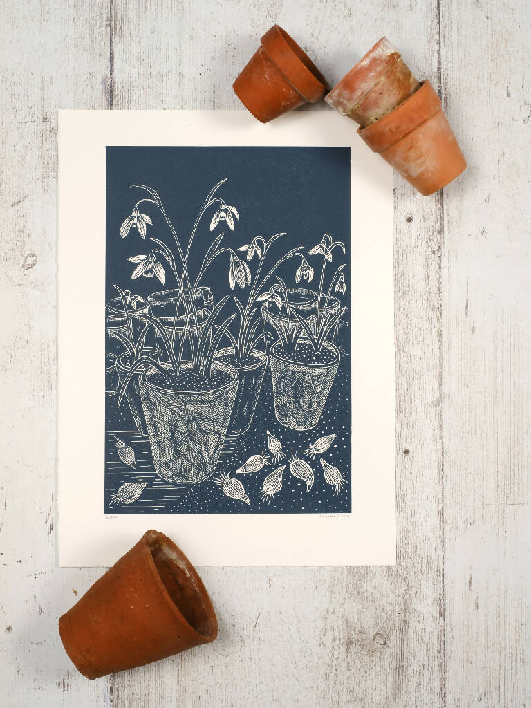 Snowdrops in Terracotta Pots in Potting Shed Lino Print