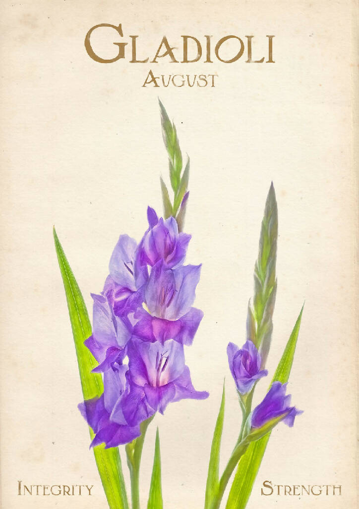 August Birth Flower Fine Art Print