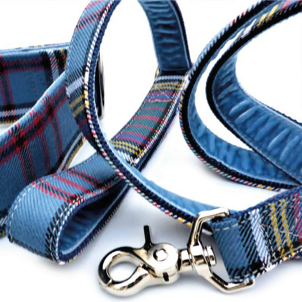 Anderson Tartan Martingale Collar in Air Force Blue