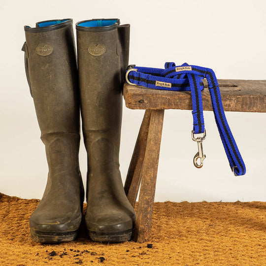 Dog Collar & Lead Set In Blue And Black Stripe - 4 sizes