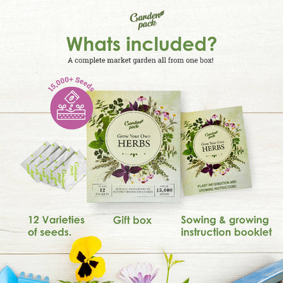 Grow Your Own Herbs Kit