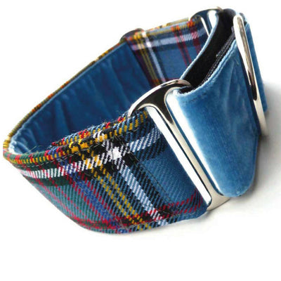 Anderson Tartan Martingale Collar in Air Force Blue