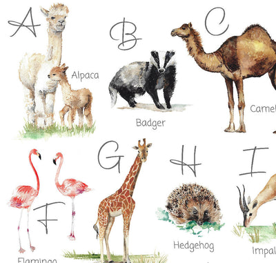 Animal Alphabet Watercolour Print
