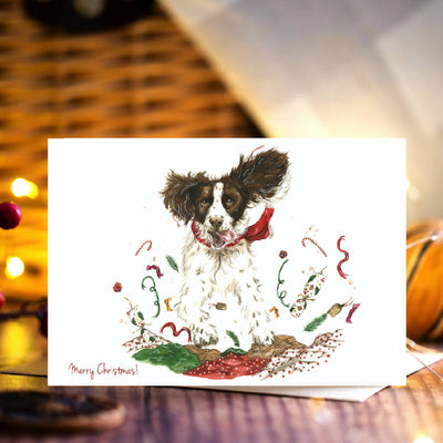 'Spring into Christmas' Springer Spaniel Christmas Card