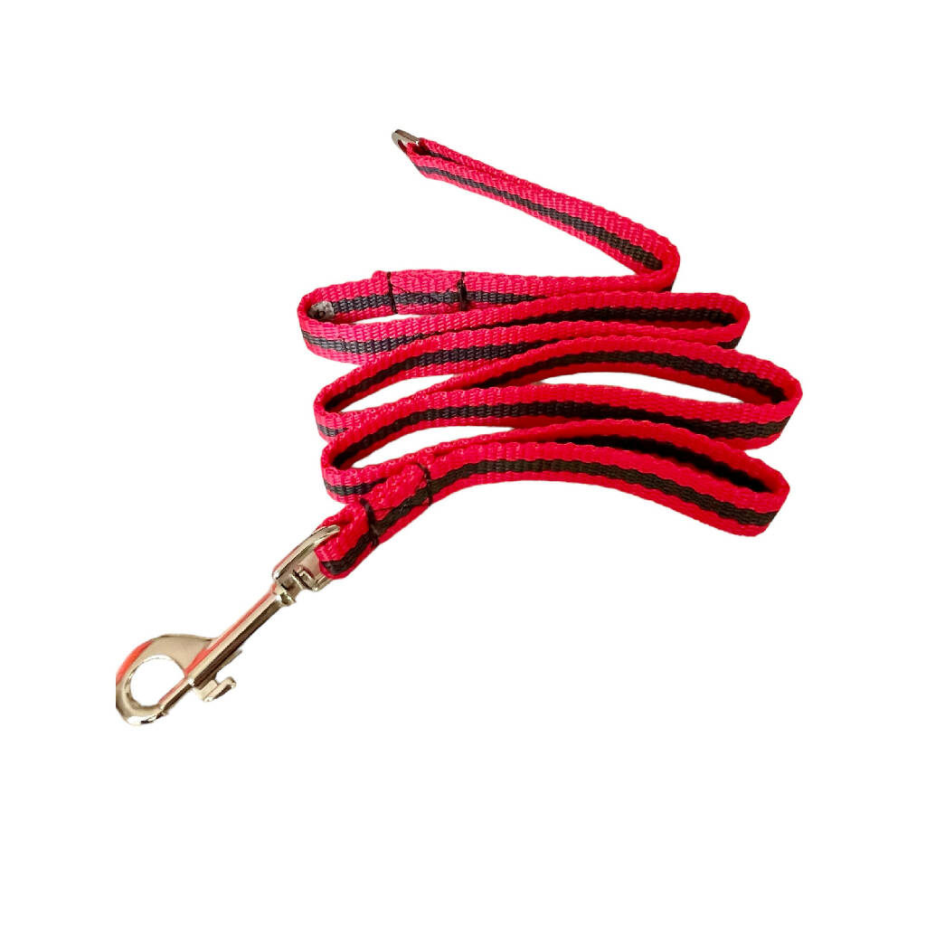 Reg&Bob-red-striped-small-dog-lead