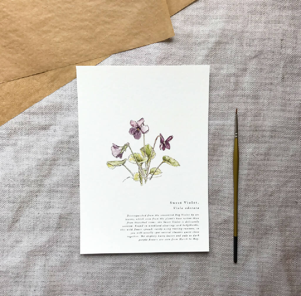 A5 Botanical Wildflower Spring Prints