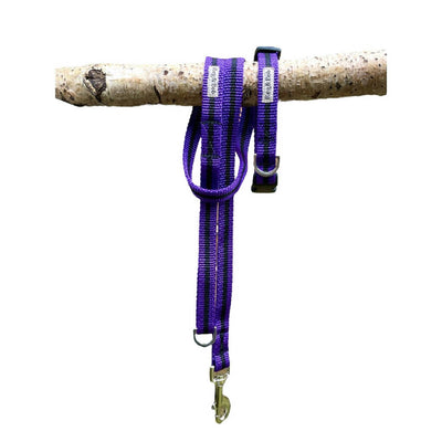 Purple-stripe-collar-and-lead-reg-and-bob