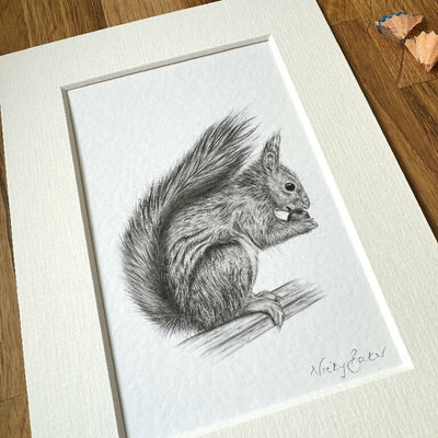 Red Squirrel art print size 6" x 8"