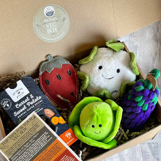 My Dog's Veg Box. Rope & Plush Toys With Veggie Chews Presented In A Gift Box