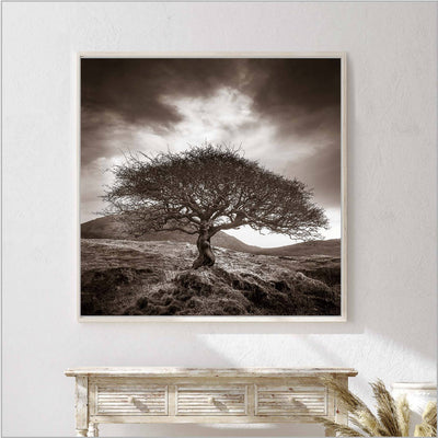 The One Tree - Sepia Tree Print