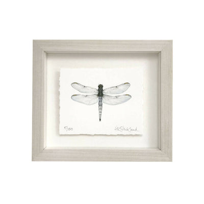 Dragonfly Framed Print