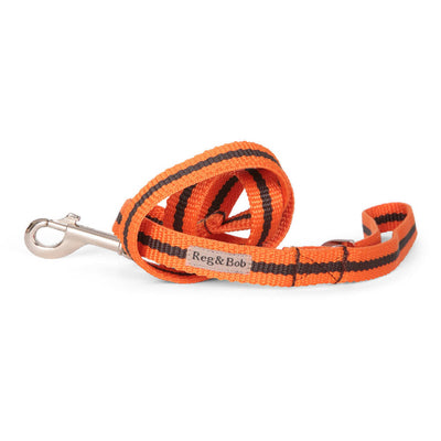 Dog Lead In Orange And Brown Stripe