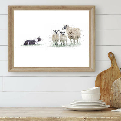 Watercolour Sheep Dog & Sheep Print