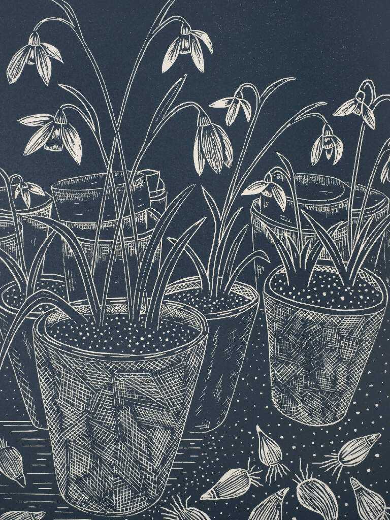 Snowdrops in Terracotta Pots in Potting Shed Lino Print