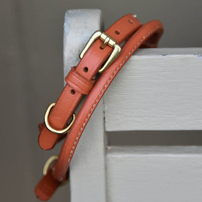 Bowfell Narrow Rolled Leather Dog Collar