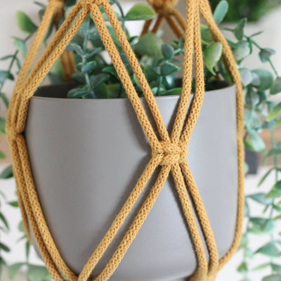 Macrame Plant Hanger