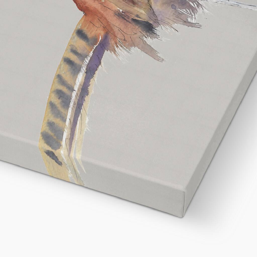 Standing Pheasant Wrapped Canvas