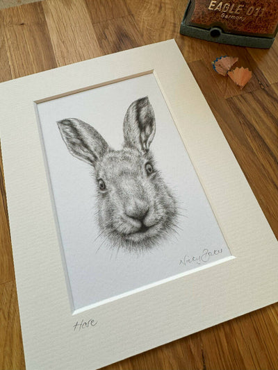 print hare 2