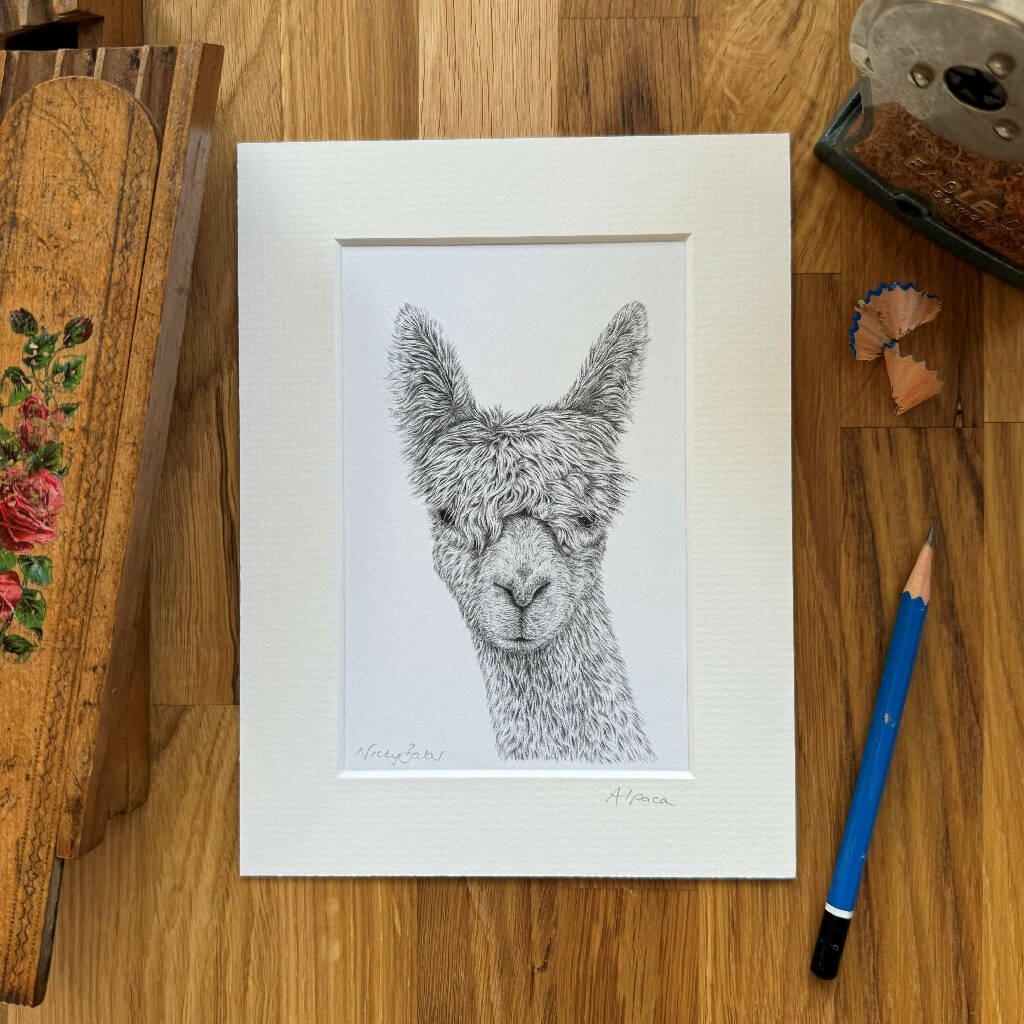Alpaca art print size 6" x 8"