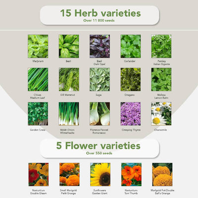 15 herb_5flowers