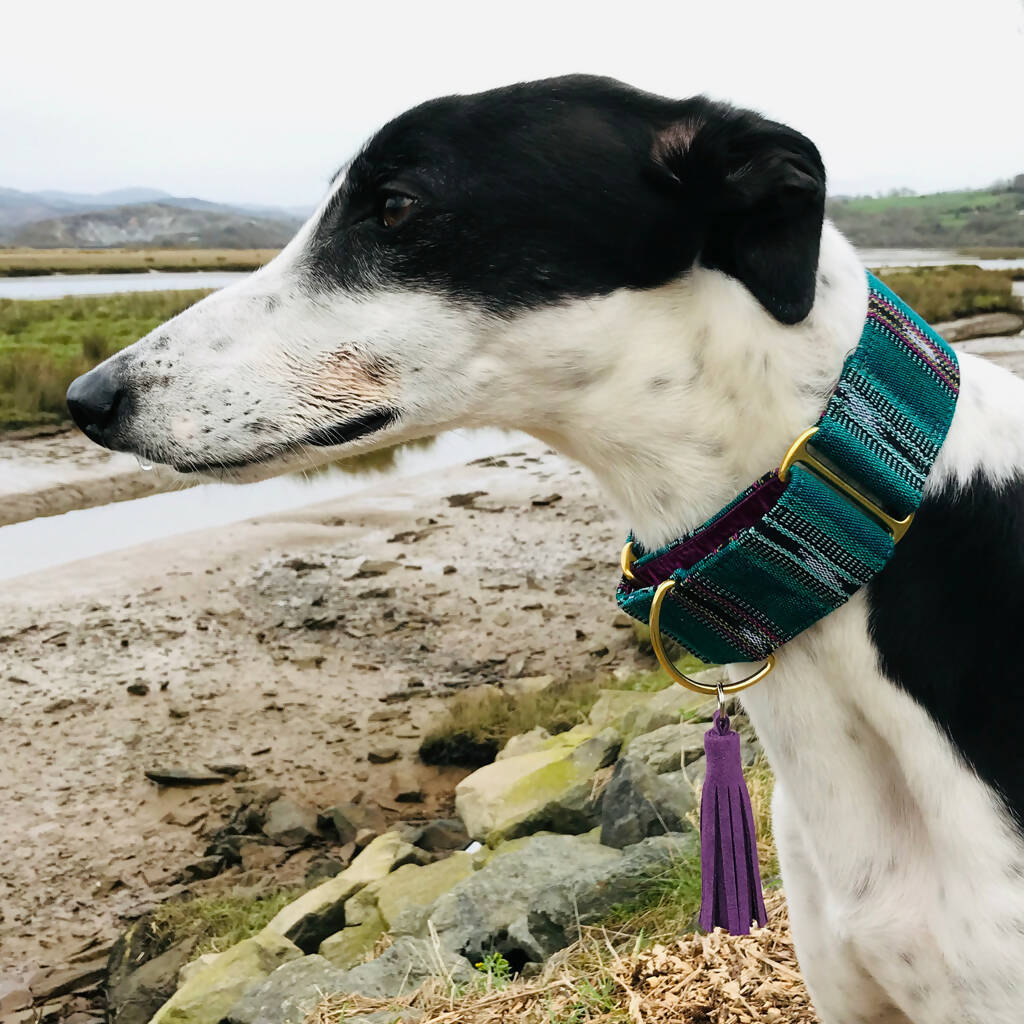 Bedouin Martingale Collar in Oasis Green