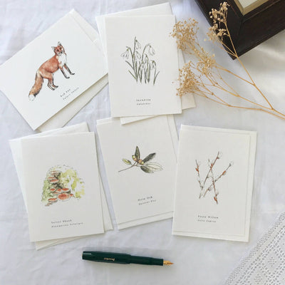 Winter/Spring Seasonal Botanical Watercolour Illustrated Greetings Card Set