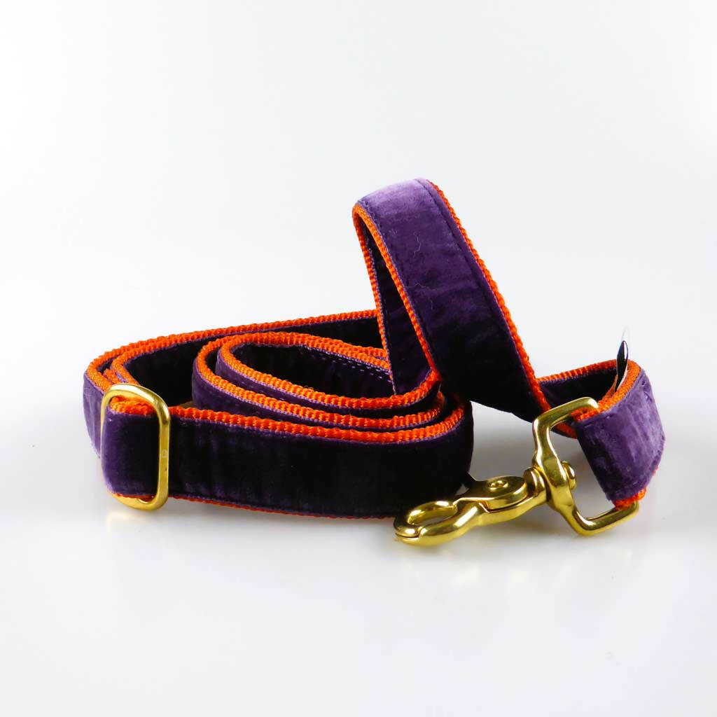 Lily Cup Standard Dog Lead in Yellow