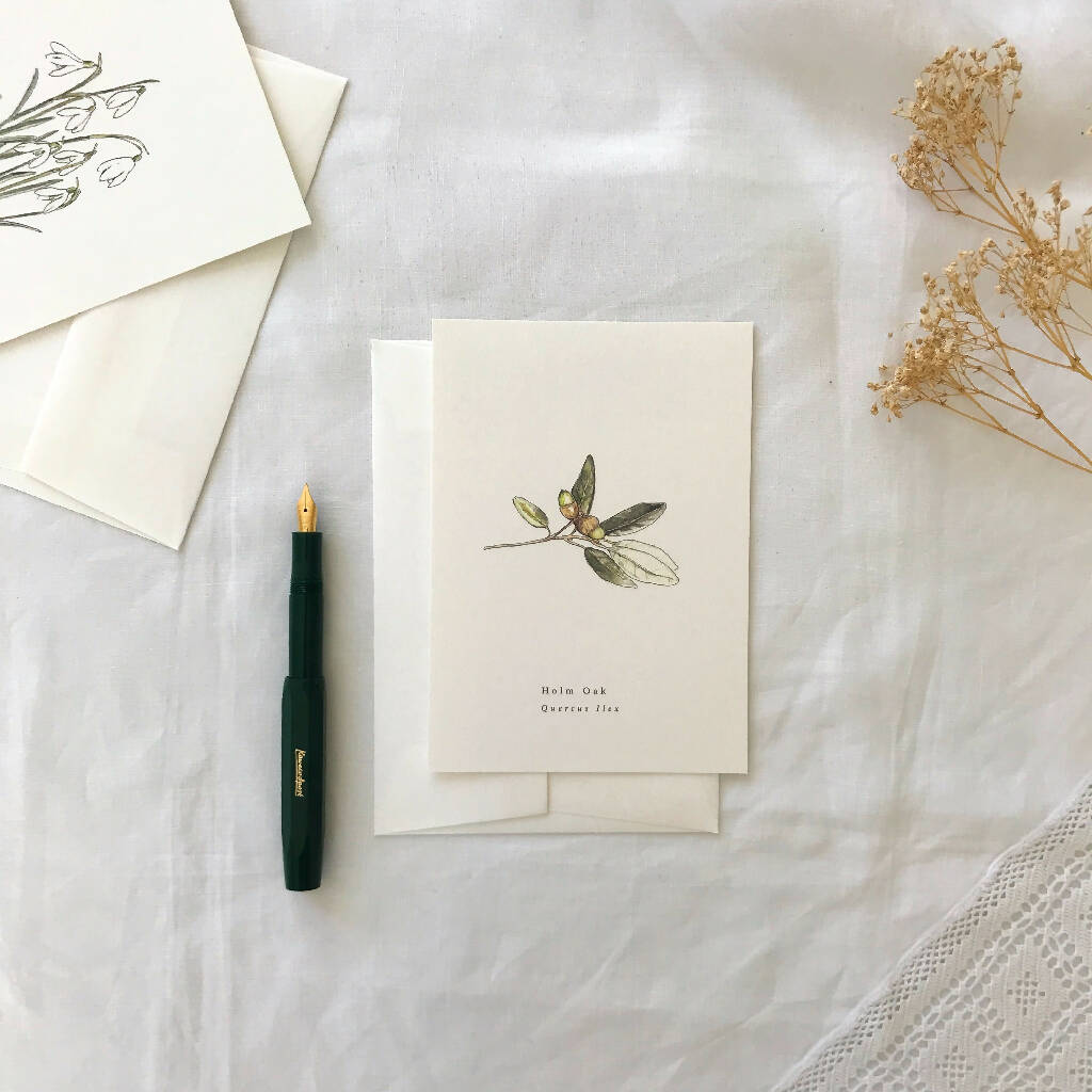 Holm Oak Leaf with Acorn Botanical Illustrated Card
