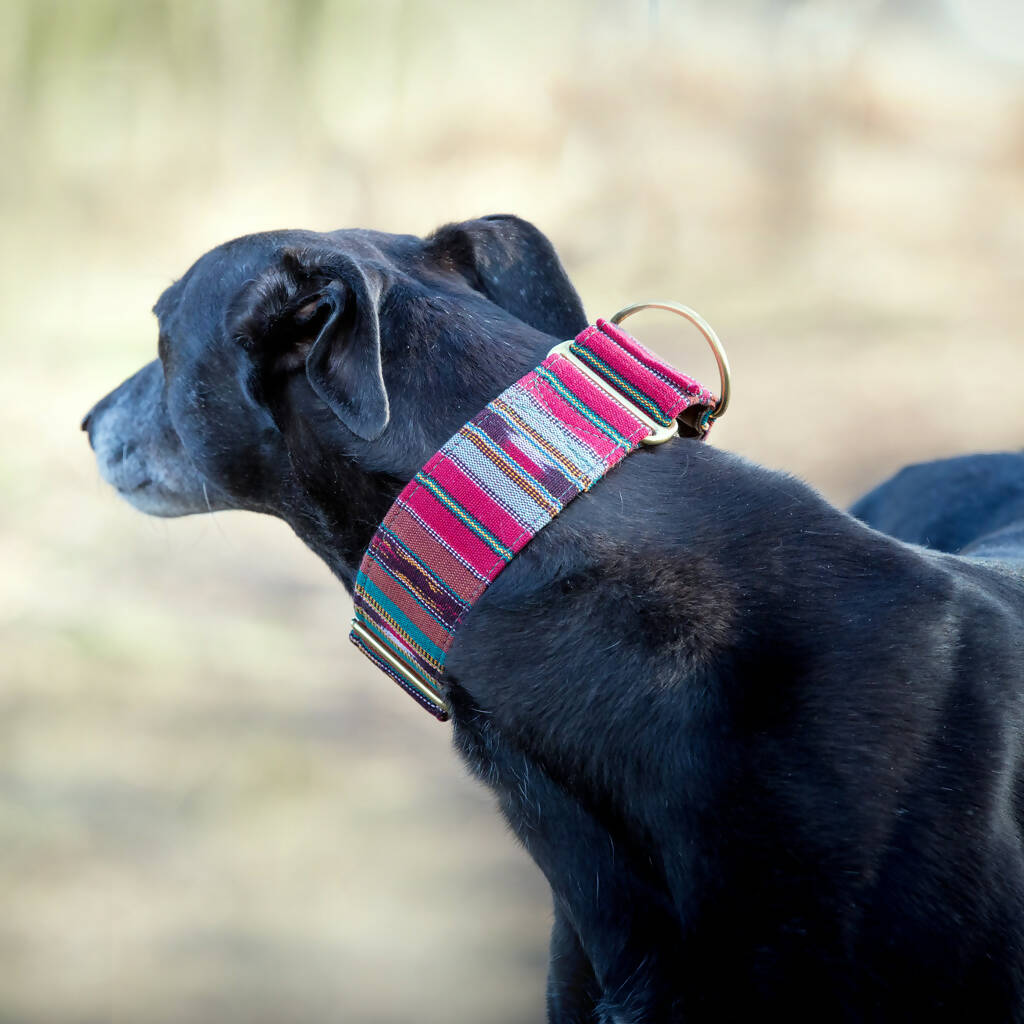 Bedouin Martingale Collar in Atlas Red