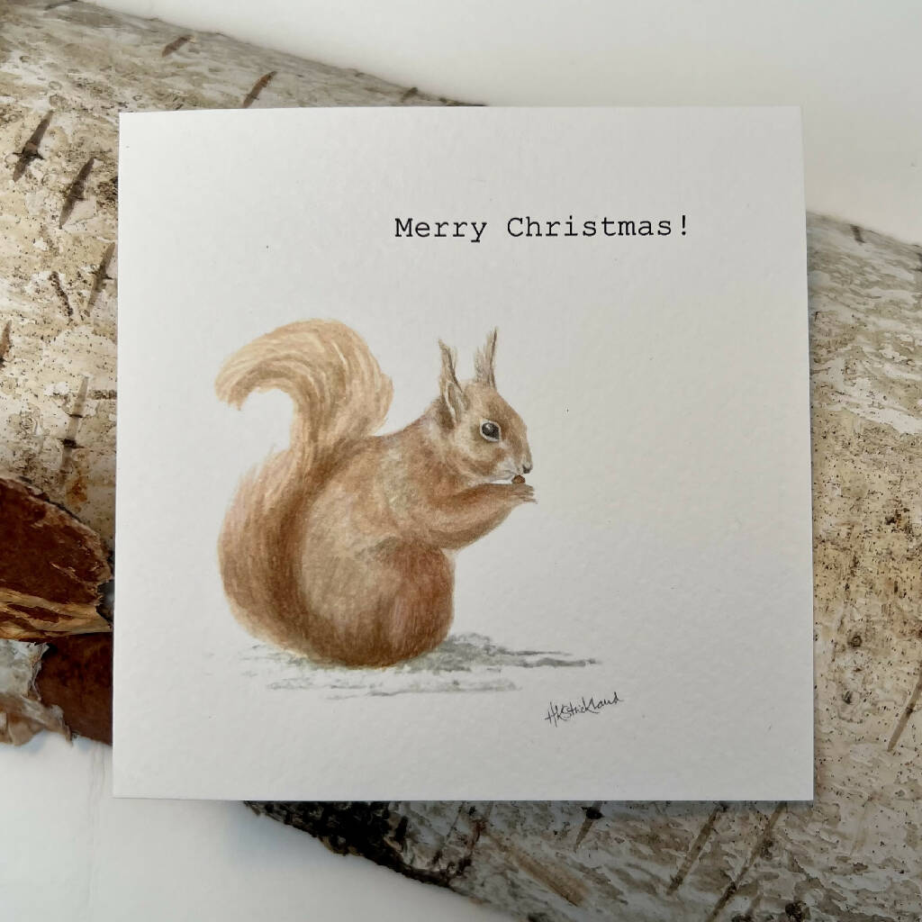 Red Squirrel Christmas Cards