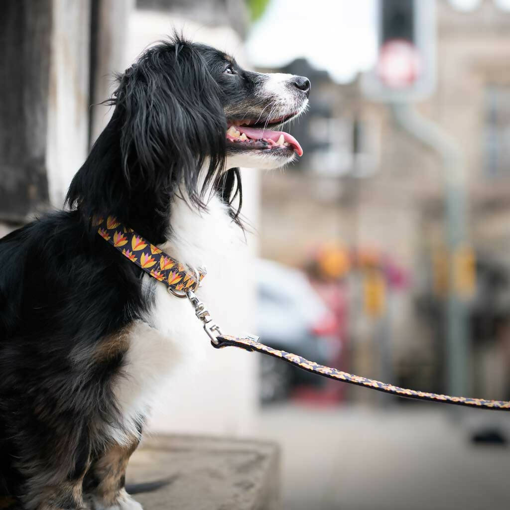 Lily Cup Buckle Collar in Yellow