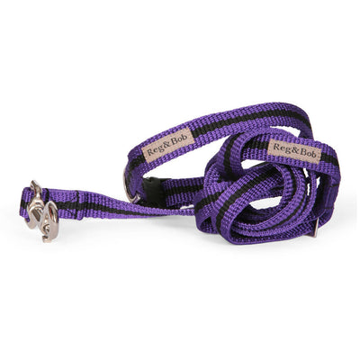 Reg&Bob collar and lead set in purple