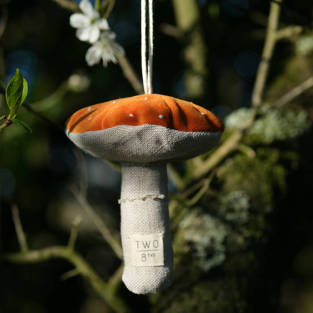 Oramge velvet toadstool hanging from a tree.