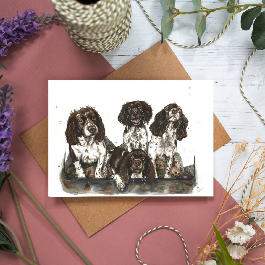 Springer Spaniels Greeting Card